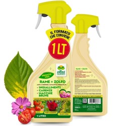 ALBAGARDEN RAME + ZOLFO SPRAY 1 Lt RTU