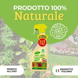 ALBAGARDEN RAME + ZOLFO SPRAY 1 Lt RTU