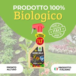 ALBAGARDEN SAPONE MOLLE SPRAY 1 Lt RTU