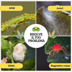 ALBAGARDEN TRIPLA AZIONE CONCENTRATO 200 ml