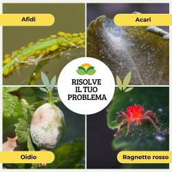 ALBAGARDEN TRIPLA AZIONE EXTRA SPRAY 1 Lt RTU