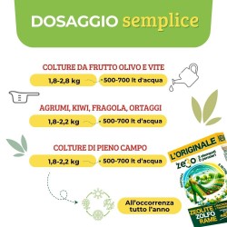 ALBAGARDEN ZeRo - ZEOLITE + ZOLFO + RAME 1 Kg