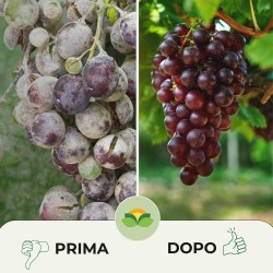 ALBAGARDEN SODIO IDROGENOCARBONATO 1 Kg
