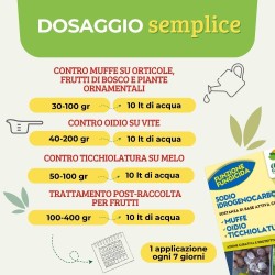 ALBAGARDEN SODIO IDROGENOCARBONATO 500 GR
