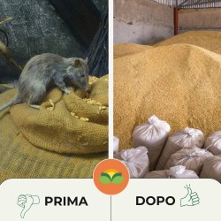 ALBATOP PASTA ROSSA 5 Kg - BR50PPM