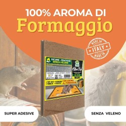 ALBATOP TRAPPOLA ADESIVA PER TOPI AROMA FORMAGGIO 2 pz (1 Conf)