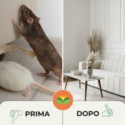 ALBATOP TRAPPOLA ADESIVA PER TOPI AROMA FORMAGGIO 2 pz (1 Conf)