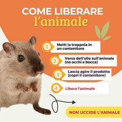 ALBATOP TRAPPOLA ADESIVA PER TOPI AROMA FORMAGGIO 2 pz (1 Conf)