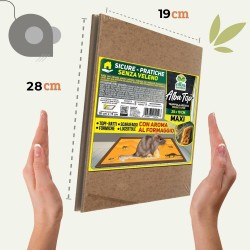 ALBATOP TRAPPOLA ADESIVA PER TOPI AROMA FORMAGGIO 2 pz (1 Conf)