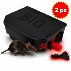 ALBATOP TRAPPOLA PER TOPI BIG 1 pz