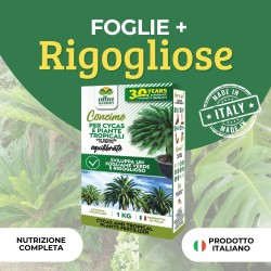 ALBAGARDEN CONCIME GRANULARE CYCAS E PIANTE TROPICALI 1 Kg