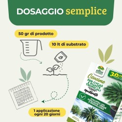 ALBAGARDEN CONCIME GRANULARE CYCAS E PIANTE TROPICALI 1 Kg