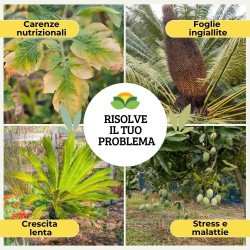 ALBAGARDEN CONCIME GRANULARE CYCAS E PIANTE TROPICALI 1 Kg