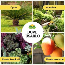 ALBAGARDEN CONCIME GRANULARE CYCAS E PIANTE TROPICALI 1 Kg