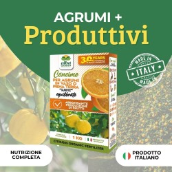 ALBAGARDEN CONCIME GRANULARE AGRUMI 1 Kg