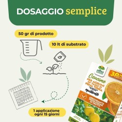 ALBAGARDEN CONCIME GRANULARE AGRUMI 1 Kg