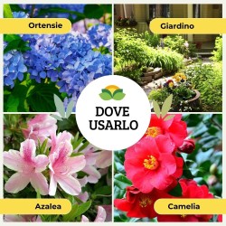 ALBAGARDEN CONCIME GRANULARE PER ORTENSIE E ACIDOFILE 1 Kg