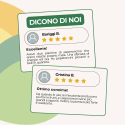 ALBAGARDEN CONCIME GRANULARE PER PEPERONCINI 300 g