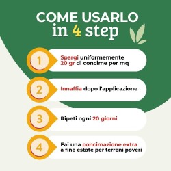ALBAGARDEN CONCIME GRANULARE PER PRATO 2 Kg