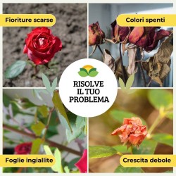 ALBAGARDEN CONCIME GRANULARE PER ROSE 1 Kg