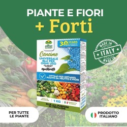 ALBAGARDEN CONCIME GRANULARE UNIVERSALE BLU 1 Kg