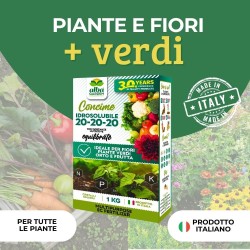 ALBAGARDEN CONCIME IDROSOLUBILE NPK 20-20-20 + TE 1 Kg