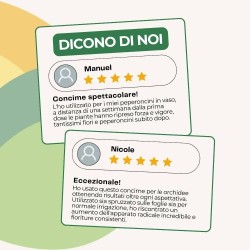 ALBAGARDEN CONCIME IDROSOLUBILE NPK 20-20-20 + TE 1 Kg