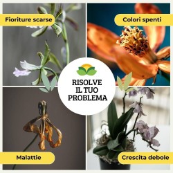 ALBAGARDEN CONCIME IN POLVERE PER ORCHIDEE 300 g