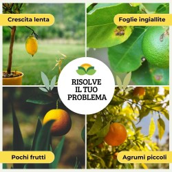 ALBAGARDEN CONCIME LIQUIDO PER AGRUMI 1 Kg
