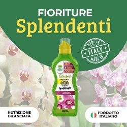 ALBAGARDEN CONCIME LIQUIDO ORCHIDEE 500 g
