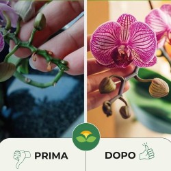 ALBAGARDEN CONCIME LIQUIDO ORCHIDEE 500 g