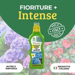 ALBAGARDEN CONCIME LIQUIDO ORTENSIE E PIANTE ACIDOFILE 1 Kg