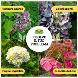 ALBAGARDEN CONCIME LIQUIDO ORTENSIE E PIANTE ACIDOFILE 1 Kg