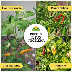 ALBAGARDEN CONCIME LIQUIDO PER PEPERONCINI 500 g