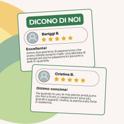 ALBAGARDEN CONCIME LIQUIDO PER PEPERONCINI 500 g