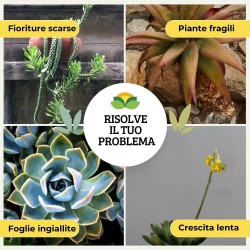 ALBAGARDEN CONCIME LIQUIDO PER PIANTE GRASSE E BONSAI 500 g