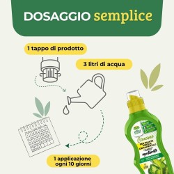 ALBAGARDEN CONCIME LIQUIDO PER PIANTE VERDI 1 Kg