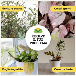 ALBAGARDEN CONCIME LIQUIDO PER PIANTE VERDI 1 Kg