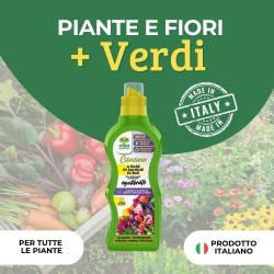 ALBAGARDEN CONCIME LIQUIDO SANGUE DI BUE 1 Kg