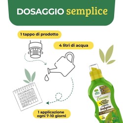 ALBAGARDEN CONCIME LIQUIDO SOLFATO DI FERRO 1 Kg