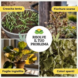 ALBAGARDEN CONCIME LIQUIDO SOLFATO DI FERRO 1 Kg