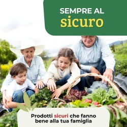 ALBAGARDEN CONCIME LIQUIDO SOLFATO DI FERRO 1 Kg