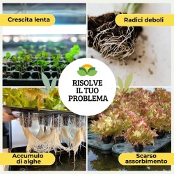 ALBAGARDEN IDROPON CONCIME NUTRIMENTO PER IDROCOLTURA 100 ml