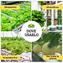 ALBAGARDEN IDROPON CONCIME NUTRIMENTO PER IDROCOLTURA 100 ml