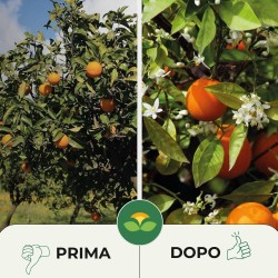 ALBAGARDEN LUPINI MACINATI 750 g