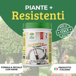 ALBAGARDEN MASTICE PER INNESTI CON RAME 200 g
