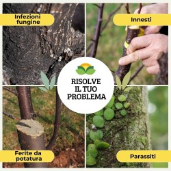 ALBAGARDEN MASTICE PER INNESTI CON RAME 200 g
