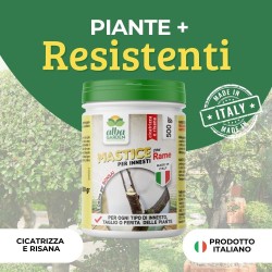 ALBAGARDEN MASTICE PER INNESTI CON RAME 500 g