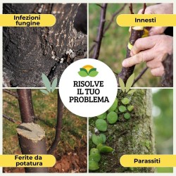 ALBAGARDEN MASTICE PER INNESTI CON RAME 500 g
