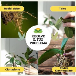 ALBAGARDEN ORMOTONIC RADICAN-T 100 g